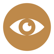 Eye Vision -1